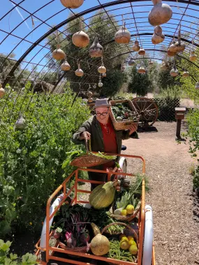 Hero Display Image   – provided by Visit Tucson