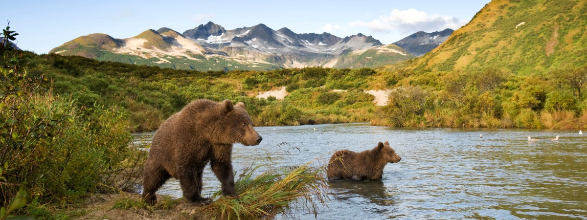 Into the Wild - Alaska Erleben