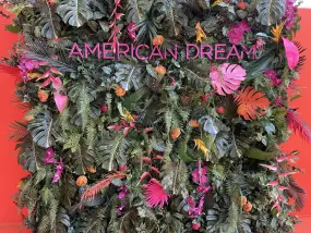 American Dream  | American Dream |   – provided by WTS