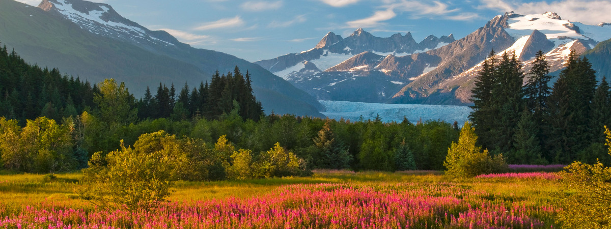 Juneau - Mendenhall Glacier, Brotherhood Bridge