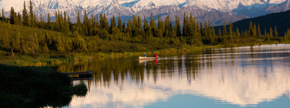 Denali National Park