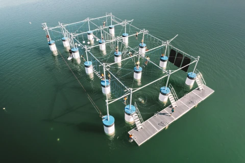 Hero Display Image   – provided by Florida's Sports Coast CVB