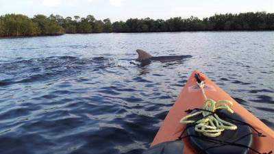 Hero Display Image  – provided by Florida's Sports Coast CVB