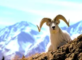 Hero Display Image   – provided by FAIRFLIGHT Touristik GmbH