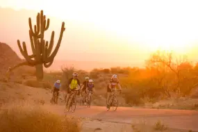 Arizona Outback Adventures Bicycle Ride  | Arizona Outback Adventures Bicycle Ride |   – provided by Visit Phoenix