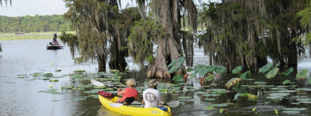 Kayaking auf dem Lake Martin