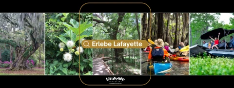 Hero Display Image   – provided by Lafayette Travel