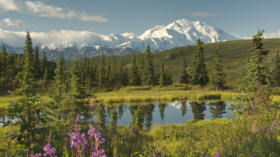Hero Display Image  – provided by Explorer World of Travel