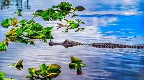 Hero Display Image   – provided by Explorer World of Travel