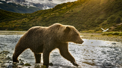 Hero Display Image  – provided by Explorer World of Travel