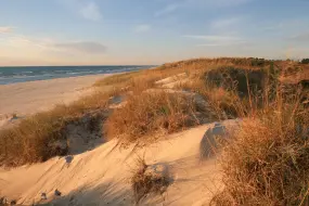 Dunes of Kohler-Andrae State Park  | Dunes of Kohler-Andrae State Park |   – provided by Princely Nesadurai