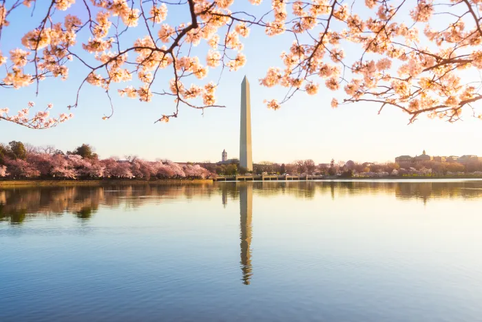 Washington Monument  – washington.org