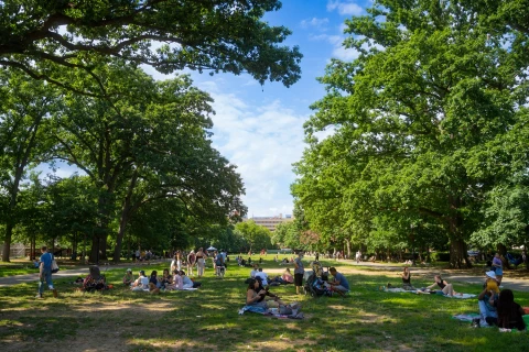 Meridian Hill Park  | Meridian Hill Park |   – provided by Courtesy of Washington.org