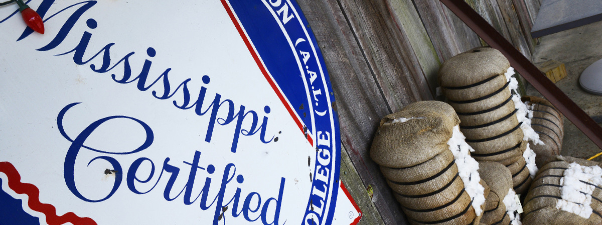 Baumwoll-Ballen bei der Hopson Plantation in Clarksdale