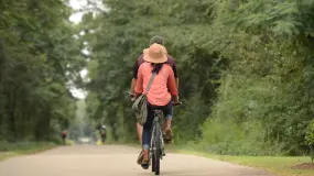 Longleaf Trace  | Longleaf Trace |   – Credit: Visit Hattiesburg