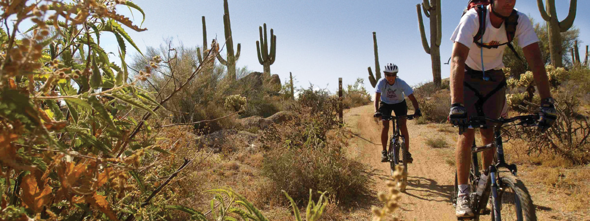 Mountain Biking in the McDowell Sonoran Preserve with REI Co-op Experiences