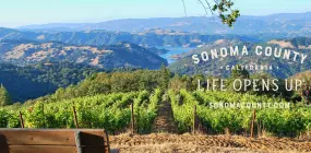 Weinberge Sonoma County - Gustavson's Picknick Area  | Weinberge Sonoma County - Gustavson's Picknick Area |   – provided by Sonoma County Tourism