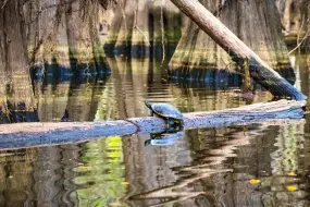 Hero Display Image   – provided by Travel Texas