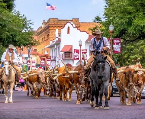 Hero Display Image   – provided by Travel Texas