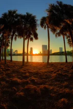 Hero Display Image   – provided by British Airways / Iberia