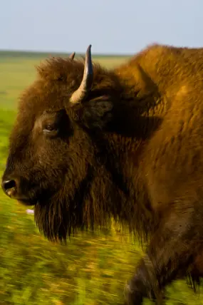 Hero Display Image   – provided by Oklahoma Tourism