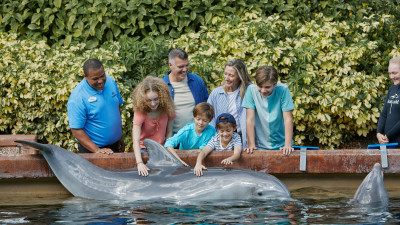 Hero Display Image  – © 2023 SeaWorld Parks & Entertainment, Inc. All Rights Reserved.