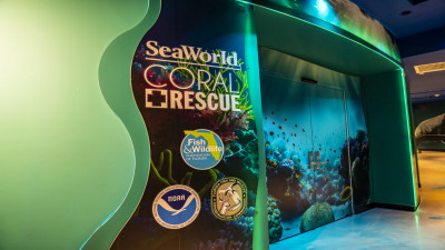 Hero Display Image  – © 2023 SeaWorld Parks & Entertainment, Inc. All Rights Reserved.