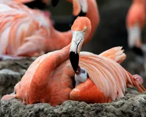 Hero Display Image   – provided by United Parks & Resorts