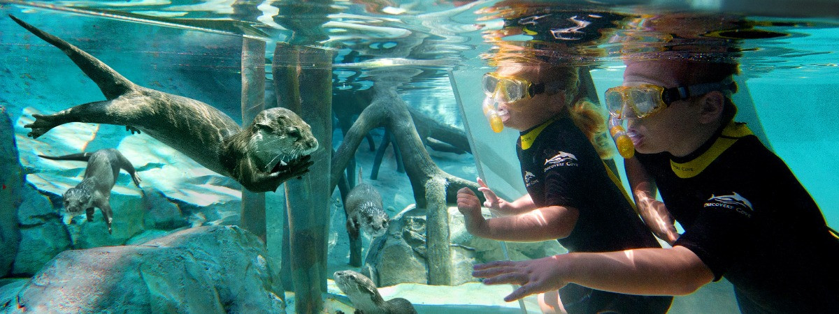 Freshwater Oasis in Discovery Cove Orlando