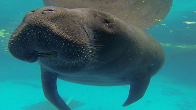 Hero Display Image  – © 2023 SeaWorld Parks & Entertainment, Inc. All Rights Reserved.