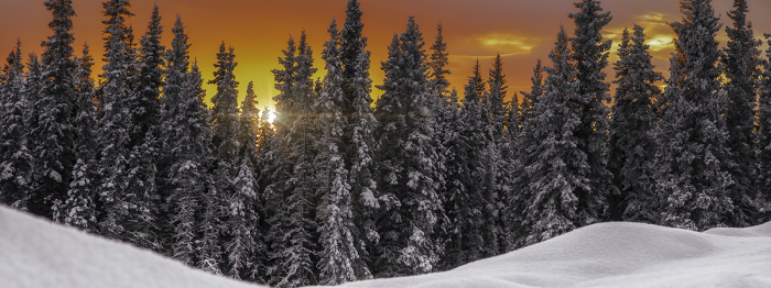 Alpenglühen in der Region von Explore Fairbanks Alaska  – © Cameron Roxberry provided by Explore Fairbanks Alaska