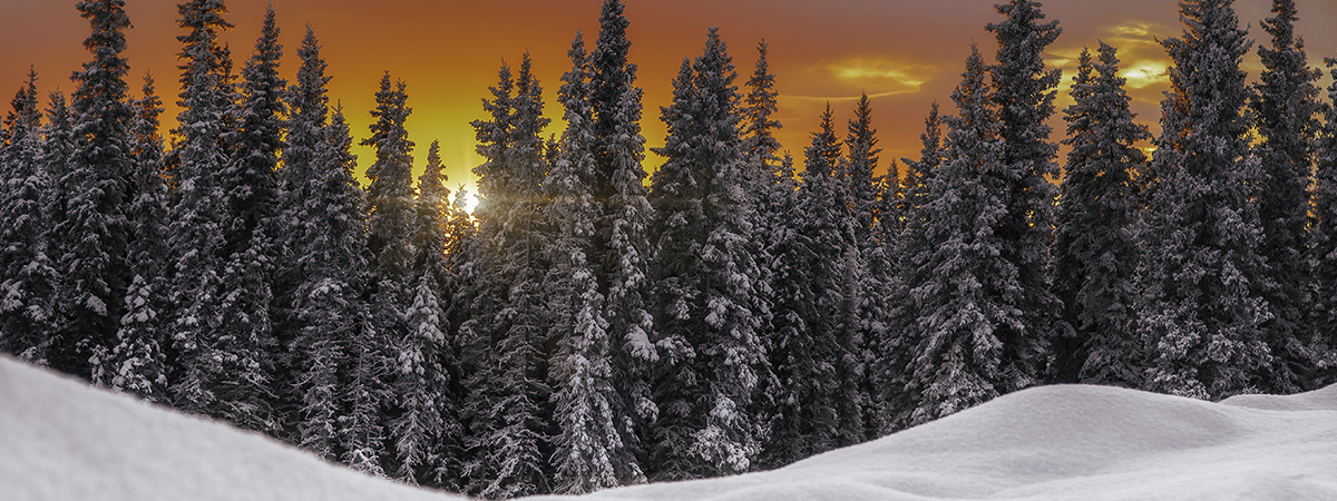 Alpenglühen in der Region von Explore Fairbanks Alaska