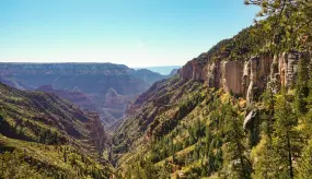 Grand Canyon Nationalpark, Sicht vom North Kaibab Trail  | Grand Canyon Nationalpark, Sicht vom North Kaibab Trail |   – provided by Visit Arizona - Siera Whitten