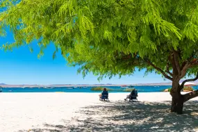 Lake Havasu State Park  | Lake Havasu State Park |   – An Pham