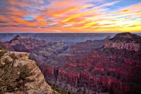Grand Canyon North Rim  | Grand Canyon North Rim |   – Credit Dennis Swena