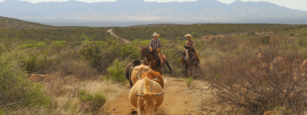 Die finder der Tombstone Monument Ranch & Cattle Co