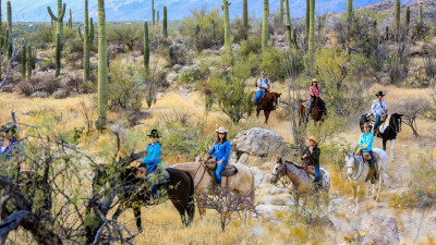 Ausritt im Saguaro National Park  – Tanque Verde Guest Ranch