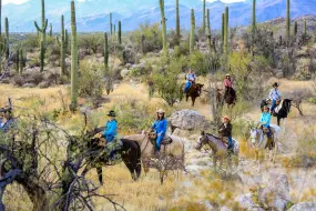 Ausritt im Saguaro National Park  | Ausritt im Saguaro National Park |   – Tanque Verde Guest Ranch
