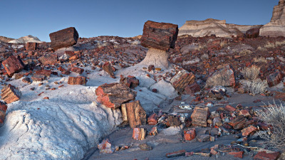 Petrified Forest National Park - Jasper Forest  – provided by National Park Service