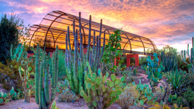Desert Discovery Trail im Desert Botanical Garden  – Adame Rodriguez & Visit Phoenix