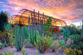 Desert Discovery Trail im Desert Botanical Garden  | Desert Discovery Trail im Desert Botanical Garden |   – Adame Rodriguez & Visit Phoenix