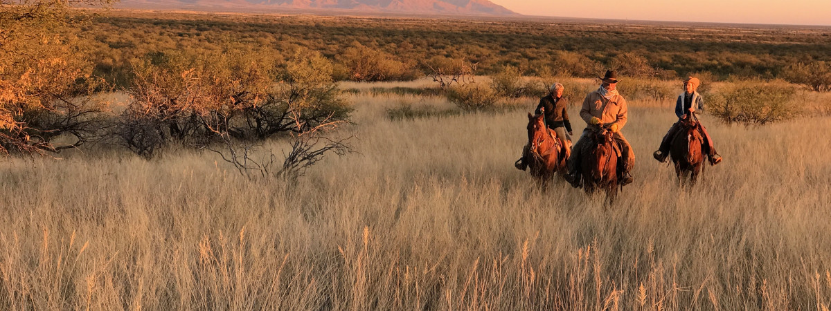 Rancho De La Osa, Arizona