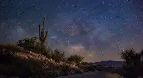 Saguaro auf dem Mt. Lemmon by Tucson, Arizona  | Saguaro auf dem Mt. Lemmon by Tucson, Arizona |   – photo credit Ray Cleveland