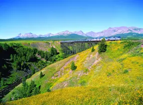 Hero Display Image   – provided by Amtrak