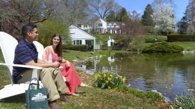 Hero Display Image  – provided by The Countryside of Philadelphia