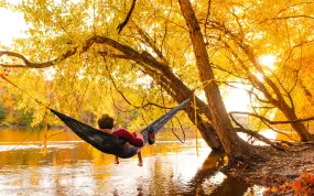 Hero Display Image   – provided by The Countryside of Philadelphia