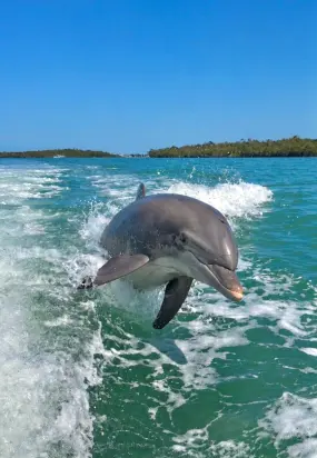 Hero Display Image   – provided by Naples, Marco Island, Everglades CVB