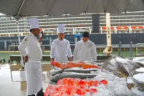 Hero Display Image   – provided by Holland America Line