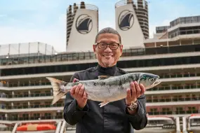 Hero Display Image   – provided by Holland America Line