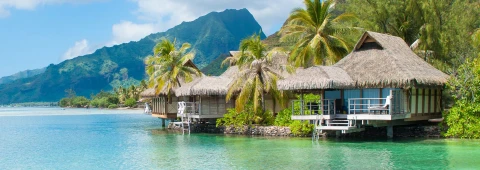 Hero Display Image   – provided by Holland America Line